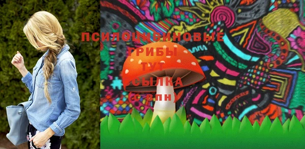 прущая мука Осташков