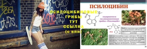 прущая мука Осинники