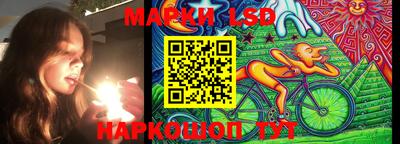 спиды Гатчина
