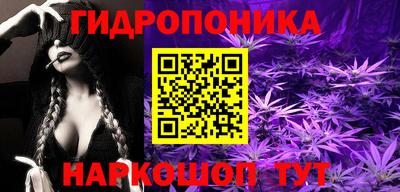 спиды Гатчина