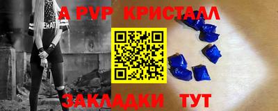 спиды Гатчина