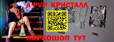 спиды Гатчина