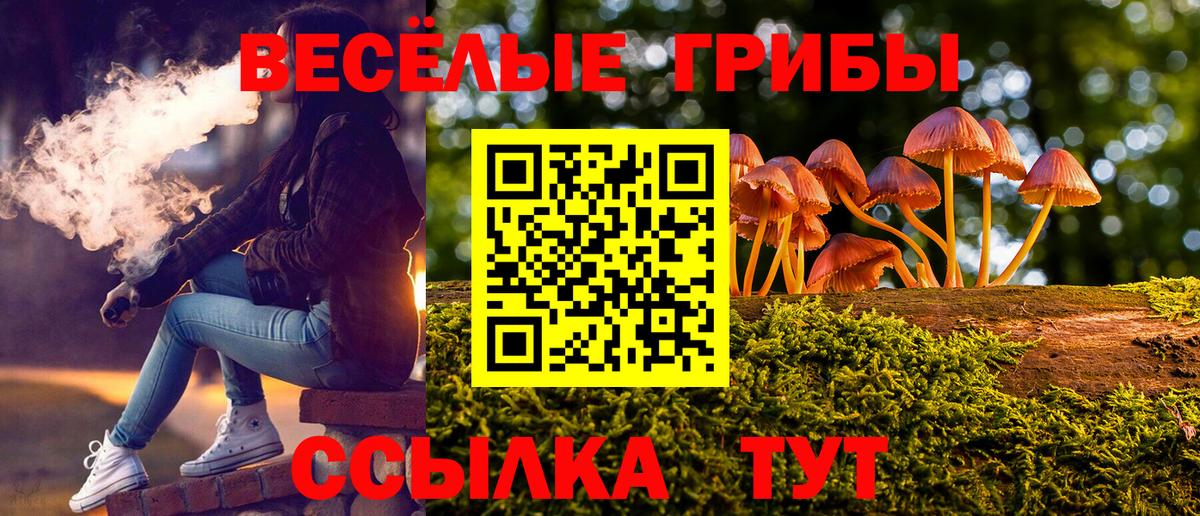 Псилоцибиновые грибы Magic Shrooms  где продают   Галлюциногенные грибы мухоморы  Ейск 